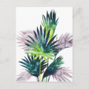 Search for frond postcards Botanical