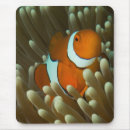 Search for barrier mousepads Coral