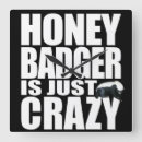 Search for badgers clocks Honey badger