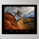 Search for lonely tree posters Canyon