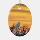 Search for snowy christmas tree decorations Animal