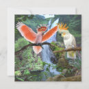 Search for paradise cards Birds