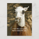 Search for funny animal postcards Animals
