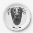 Search for attraction plates Nature