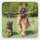 Search for police dog stickers Puppies