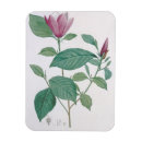 Search for after magnets Flowers