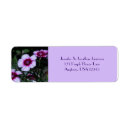 Search for teacher return address labels Thank you