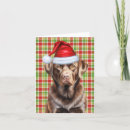 Search for chocolate labrador cards Labs