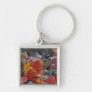 Search for nas key rings Leaf