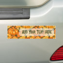 Search for fall pumpkin bumper stickers Pumpkins