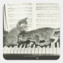 Search for piano cat stickers Tabby