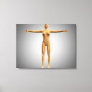 Search for female body canvas prints Human limbs