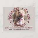 Search for pitbuls postcards Animals