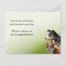 Search for veterinary reminder postcards Pet care