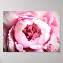 Search for elegant beauty posters Flower