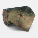 Search for spider web ties Nature