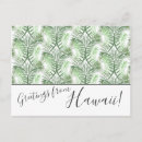 Search for tre postcards Tropical
