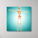 Search for perspective canvas prints Colour image