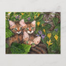 Search for 4 postcards Cute