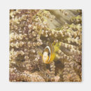 Search for wild one magnets Animals