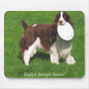 Search for springer mousepads Canine