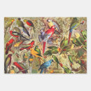 Search for sheets of wrapping paper Colorful