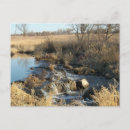 Search for postage photography Design