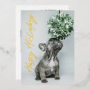 Search for french bulldog christmas cards Modern