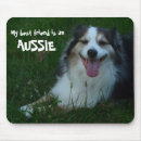Search for herd electronics Dog
