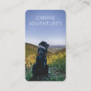 Search for walker business cards Dog sitter