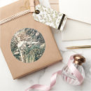 Search for rackham stickers Vintage