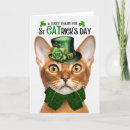 Search for lucky cat Cats