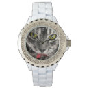 Search for tabby accessories Pets