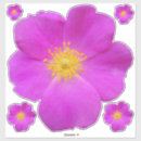 Search for rose mini laptop cases Flower