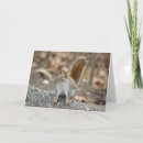 Search for red squirrel cards Cute