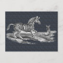 Search for wildlife art postcards Vintage