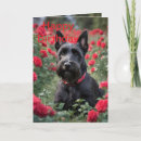 Search for scottish terrier cards Dog