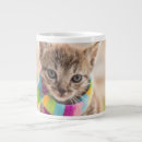 Search for tabby kitten mugs Feline