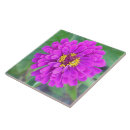 Search for fuchsia tiles Floral