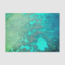 Search for coral reef tissue paper Sea