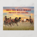 Search for save a horse postcards Animals