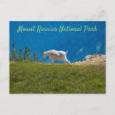 Search for gap postcards Nature