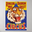 Search for ringling posters Tiger