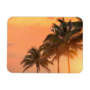 Search for miami magnets Vacation