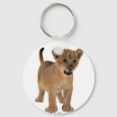 Search for lion photo key rings Cats