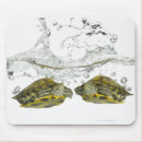 Search for turtle electronics Swimming