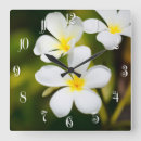 Search for frangipani flower art Nature