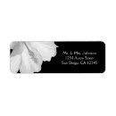 Search for hawaii wedding return address labels Floral