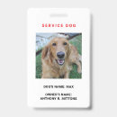 Search for service dog id badges Official