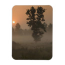 Search for edwards magnets India